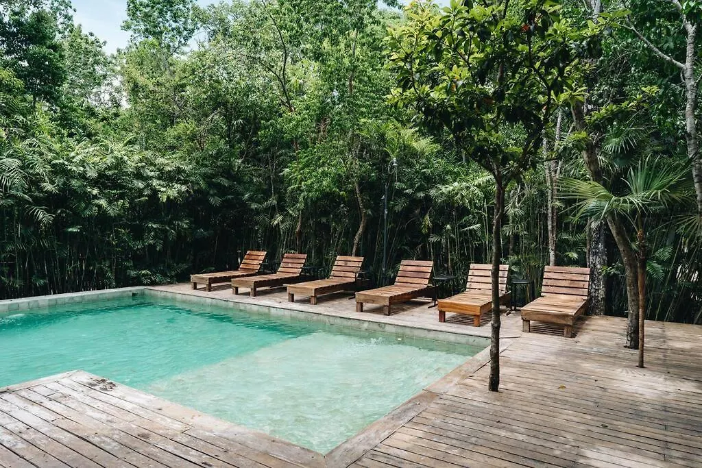Luxury Villa, Beach Club - Jungle View - Sahara Bleu 图卢姆